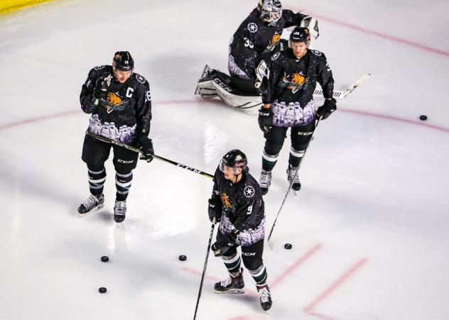 Utah Grizzlies warmup