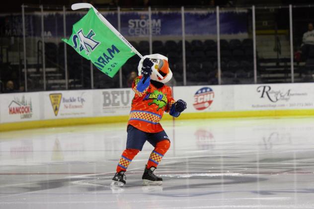 Maine Mariners mascot Beacon the Puffin