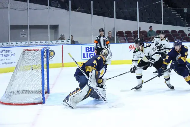 Wheeling Nailers forward Winston Day Chief (17) scores against the Norfolk Admirals