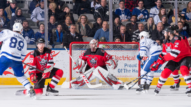 Binghamton Devils goaltender Cam Johnson in the crease against the Toronto Marlies