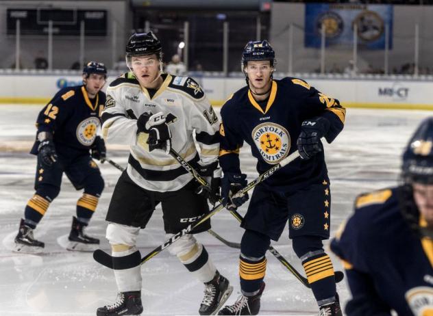 Norfolk Admirals vs. the Wheeling Nailers