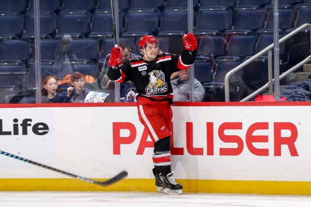 Grand Rapids Griffins celebrate a goal