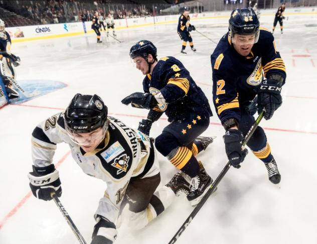 Norfolk Admirals skirmish with the Wheeling Nailers