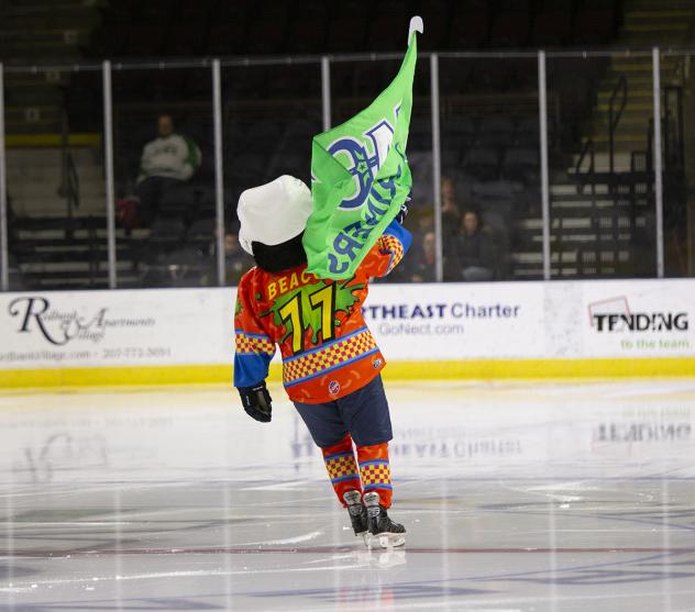 Maine Mariners mascot Beacon the Puffin