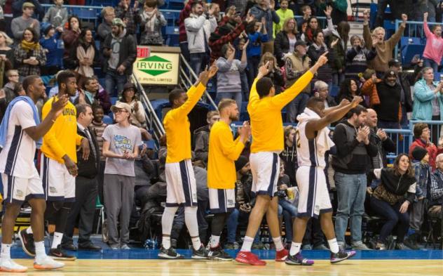 Saint John Riptide celebrate