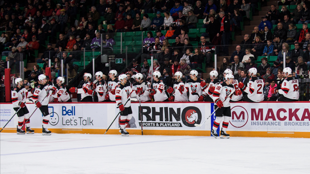 Binghamton Devils celebrate a goal with the bench