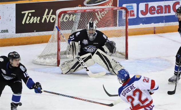 Saint John Sea Dogs goaltender Mikhail Denisov