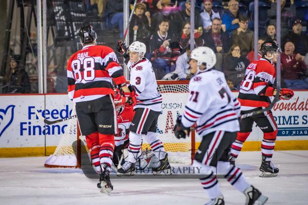 Niagara IceDogs centre Ben Jones (3) celebrates a goal against the Ottawa 67's