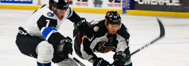 Utah Grizzlies battlethe Wichita Thunder
