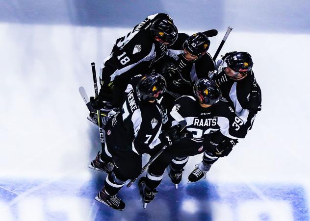 Utah Grizzlies huddle