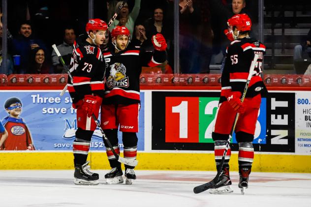 Grand Rapids Griffins celebrate a goal