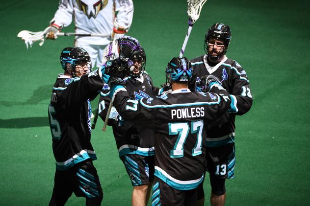 Rochester Knighthawks celebrate during their home opener