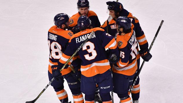 Greenville Swamp Rabbits' celebratory huddle