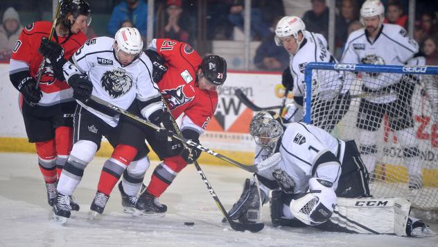 Manchester Monarchs goaltender Charles Williams tries to keep the Adirondack Thunder at bay