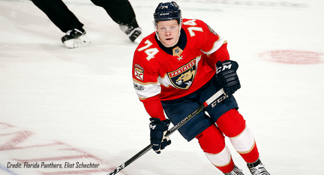 Owen Tippett with the Florida Panthers