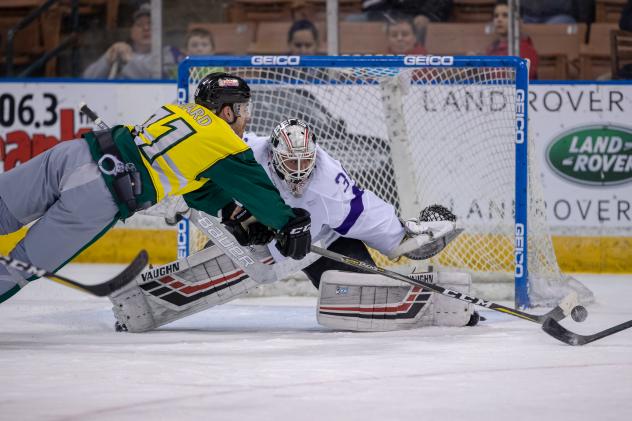 Cory Ward of the Manchester Monarchs dives for a puck against the Reading Royals