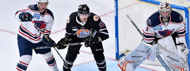 South Carolina Stingrays goaltender Angus Redmond vs. the Orlando Solar Bears