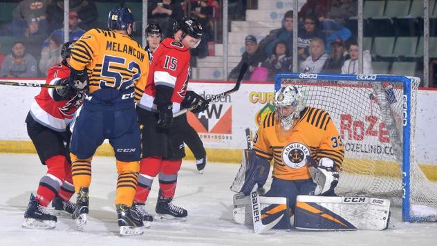 Norfolk Admirals goaltender Ty Reichenbach vs. the Adirondack Thunder