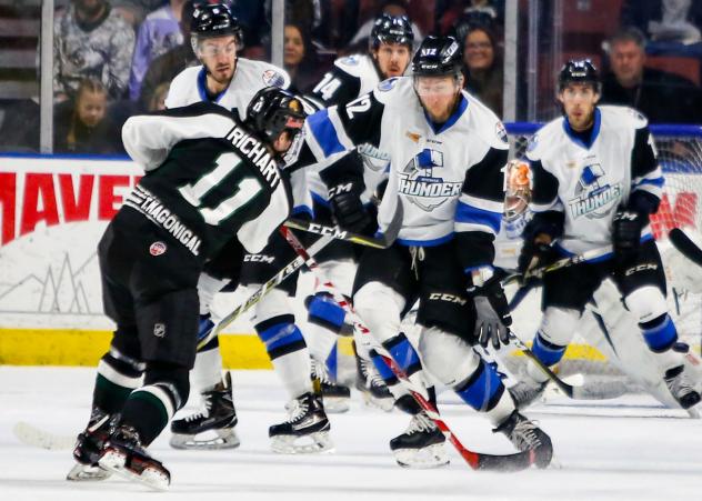 Taylor Richart of the Utah Grizzlies takes a shot against the Wichita Thunder