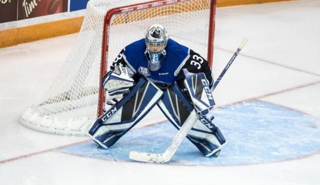 Goaltender Alex D'Orio with the Saint John Sea Dogs