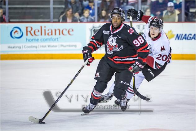 Niagara IceDogs defenceman Elijah Roberts (98) vs. The Guelph Storm