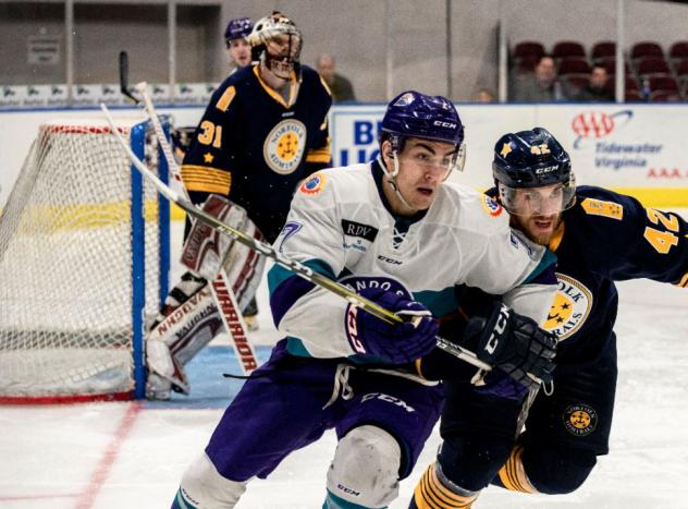 Norfolk Admirals against the Orlando Solar Bears