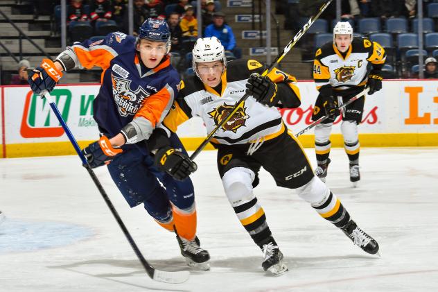 Flint Firebirds vs. the Hamilton Bulldogs