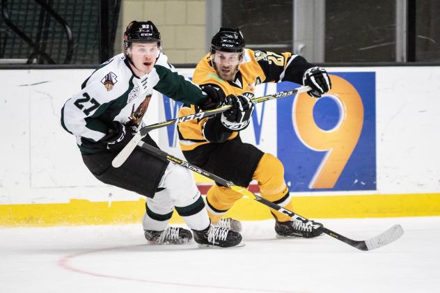 Utah Grizzlies defenseman Nolan De Jong (27) vs. the Wheeling Nailers