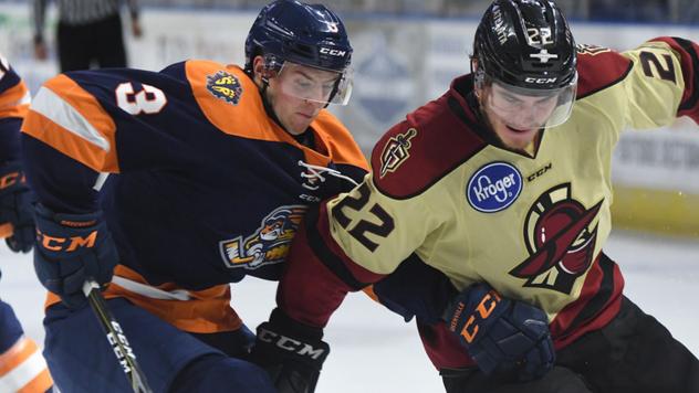 Greenville Swamp Rabbits battle the Atlanta Gladiators