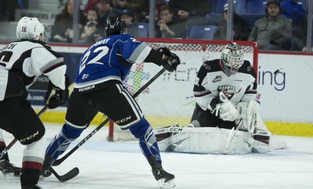 Vancouver Giants goaltender David Tendeck faces the Victoria Royals