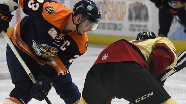 Greenville Swamp Rabbits vs. the Atlanta Gladiators