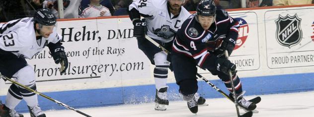 South Carolina Stingrays defenseman Mike Chen vs. the Jacksonville IceMen