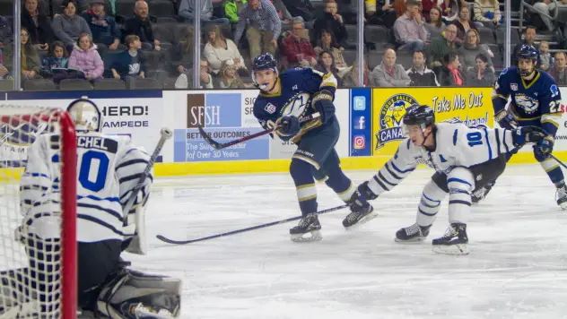 Sioux Falls Stampede center Brian Chambers takes a shot against the Fargo Force