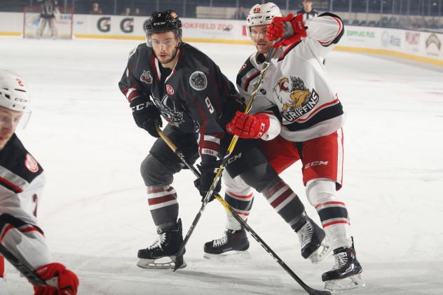 Grand Rapids Griffins battle the Chicago Wolves