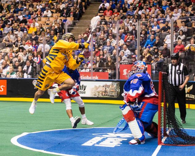 Georgia Swarm vs. the Toronto Rock