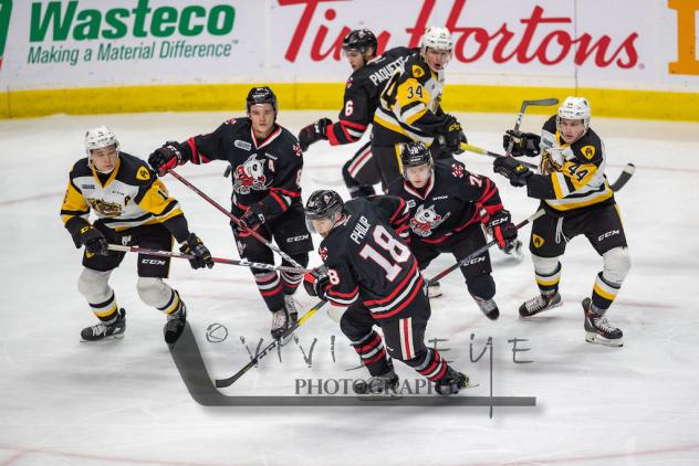 Niagara IceDogs vs. the Hamilton Bulldogs