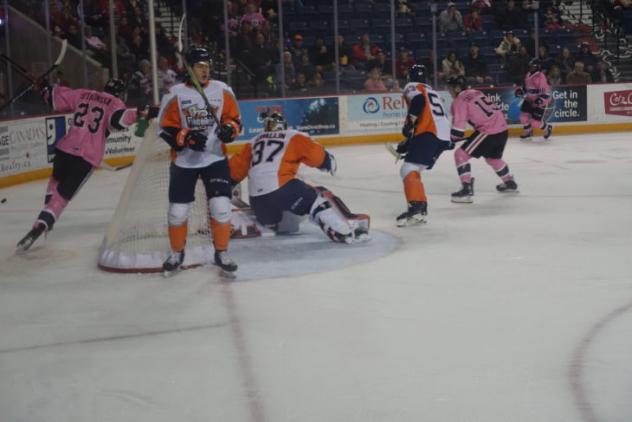 Niagara IceDogs celebrate a goal against the Flint Firebirds