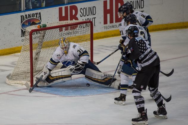 Sioux Falls Stampede goaltender Alec Calvaruso vs. the Fargo Force