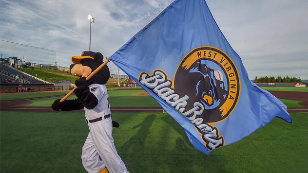 West Virginia Black Bears mascot Cooper the Bear