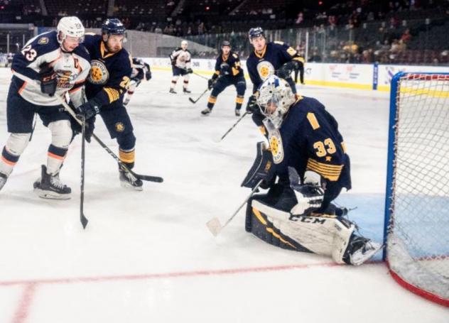 Norfolk Admirals goaltender Ty Reichenbach stops a shot against the Greenville Swamp Rabbits