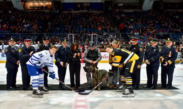 Hamilton Bulldogs and the Mississauga Steelheads