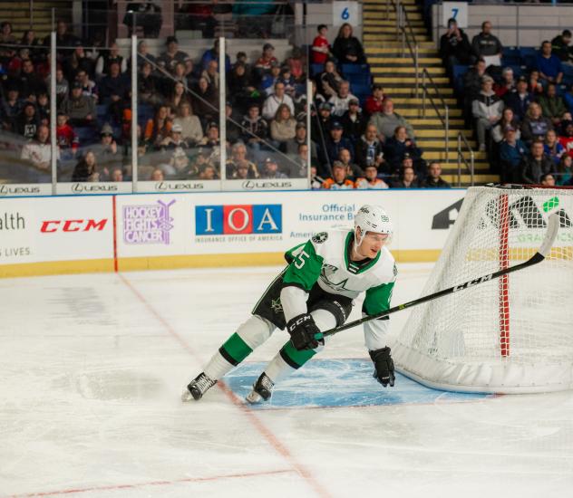 Texas Stars Recall right wing Denis Gurianov
