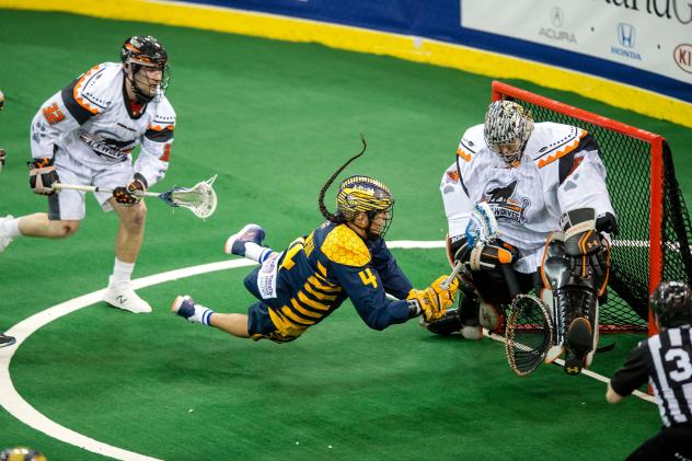 Georgia Swarm forward Lyle Thompson dives against the New England Black Wolves
