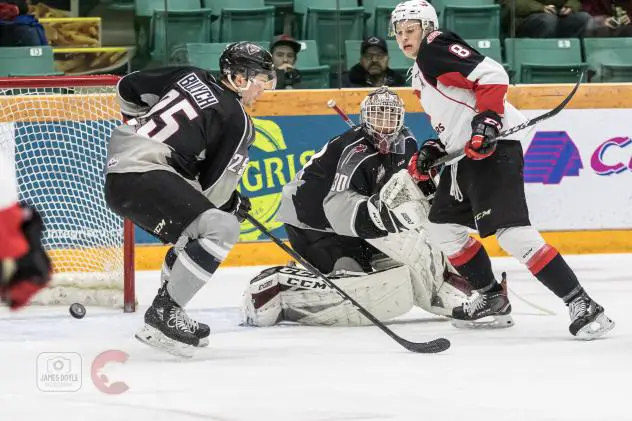 Prince George Cougars left wing Jackson Leppard (8) tests Vancouver Giants defenceman Kaleb Bulych