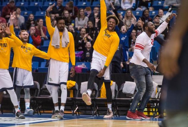 Saint John Riptide celebrate on the bench