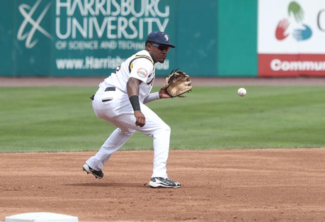 York Revolution infielder Henry Castillo