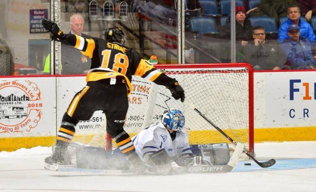 Hamilton Bulldogs captain Matthew Strome scores on the Mississauga Steelheads