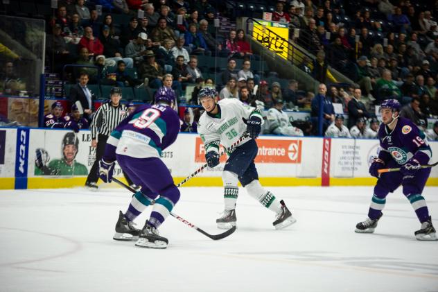 Cliff Pu of the Florida Everblades vs. the Orlando Solar Bears