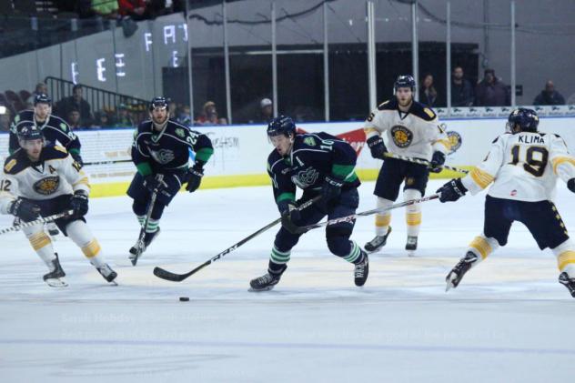 Norfolk Admirals vs. the Maine Mariners