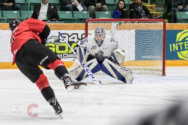 Prince George Cougars take a shot against the Victoria Royals